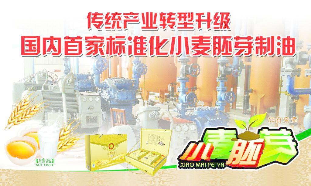 小麦胚芽 从科研图像到产业服务——探索会议与展览在现代农业中的价值